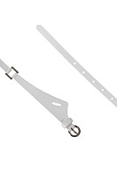 Ремень женский PDW10-1. Фото 2.